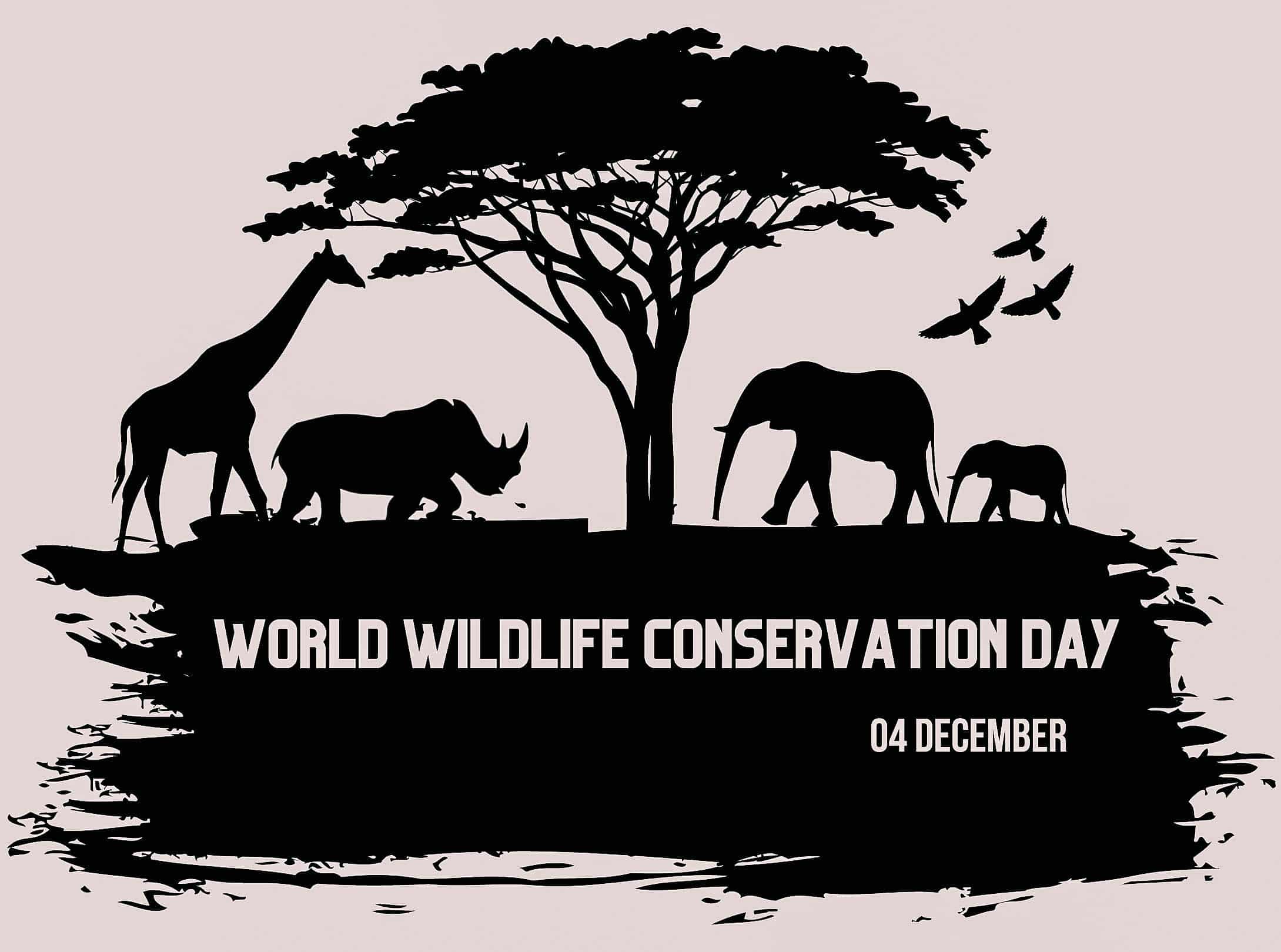 World Wildlife Conservation Day Search Wizards, Inc.